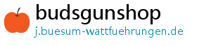 budsgunshop